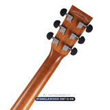  Guitar TangleWood DBT-D-EB | đàn Guitar Acoustic New 