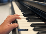  Piano điện Yamaha YDP 165R | YDP-165R ( Used ) 
