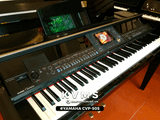  Piano Digital YAMAHA CVP 505 