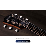  Đàn Guitar Acoustic Taylor 414CE 