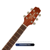  Guitar Takamine P1DC | đàn Guitar Acoustic New 