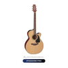  Guitar Takamine P1NC| đàn Guitar Acoustic New 