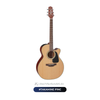  Guitar Takamine P1NC | đàn Guitar Acoustic New 