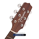  Guitar Takamine P1NC | đàn Guitar Acoustic New 