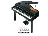  Piano Digital Roland RG 1 | Piano điện Japan cao cấp 