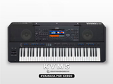  Đàn Organ Yamaha PSR SX900 | Organ giá ưu đãi đặc biệt 