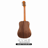  Đàn Guitar Acoustic Baby Taylor BT1 New 