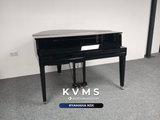  Piano Hybrid Yamaha AvantGrand N3X 