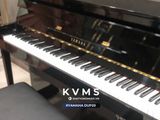  Piano Hybrid YAMAHA DUP20 