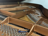  Grand Piano Yamaha C5A 