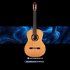  Đàn Guitar Classic Cordoba F7 Paco Flamenco 