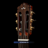  Đàn Guitar Classic Cordoba C9 Crossover 