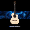  Đàn Guitar Classic Cordoba 55FCE Negra 