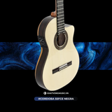  Đàn Guitar Classic Cordoba 55FCE Negra 