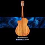 Đàn Classic Guitar Cordoba GK Studio 