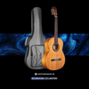  Đàn Guitar Classic Cordoba C5 Limited 