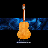  Đàn Guitar Classic Cordoba C5 Limited 