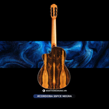  Đàn Guitar Classic Cordoba 55FCE Negra 