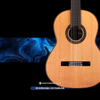  Đàn Classic Guitar Cordoba C9 Parlor 