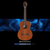  Đàn Guitar Classic Cordoba C5 CD 