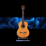  Đàn Guitar Classic Cordoba C5 Limited 