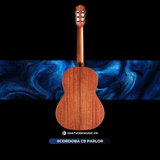  Đàn Classic Guitar Cordoba C9 Parlor 