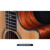  Đàn Guitar Classic Taylor 314CE-N 