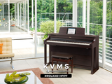 Piano Digital Roland HPi-7F 