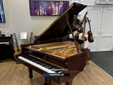  Grand Piano Yamaha C3 | Series cao 
