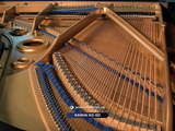  Grand Piano Kawai KG5D | KG-5D grand piano cỡ lớn 