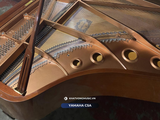  Grand Piano Yamaha C5A 