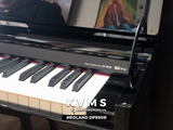  Piano điện Roland DP990R 