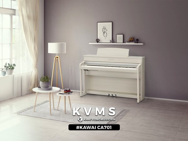 Kawai CN301