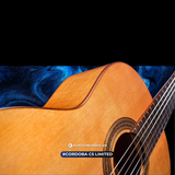  Đàn Guitar Classic Cordoba C5 Limited 