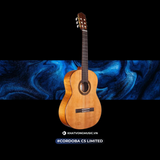  Đàn Guitar Classic Cordoba C5 Limited 
