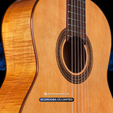  Đàn Guitar Classic Cordoba C5 Limited 
