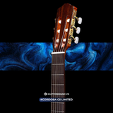  Đàn Guitar Classic Cordoba C5 Limited 