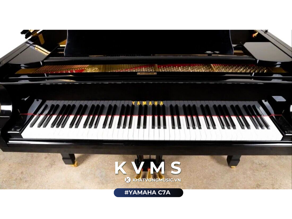 Yamaha C7A đẳng cấp