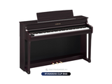 Piano Yamaha CLP 845 | CLP-800 series | Piano điện mới 2024 