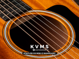  Đàn Guitar Acoustic Taylor GS Mini-e Mahogany 