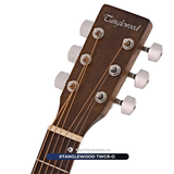  Guitar TangleWood TWCR O | đàn Guitar Acoustic New 