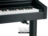  Piano Digital Roland RG 1 | Piano điện Japan cao cấp 