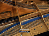  Grand Piano Kawai KG5D | KG-5D grand piano cỡ lớn 