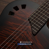  Đàn Guitar Cordoba Stage 