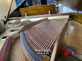  Grand piano Yamaha G3E Satin Walnut | 3 Pedal cao cấp 