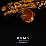  Selmer 52JBL Alto Saxophone | Kèn Saxophone cao cấp 