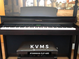  Piano Digital YAMAHA CLP 480 