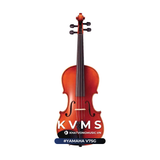  Đàn Violin Yamaha V7SG | Đàn violin full size 1/8 1/4 1/2 3/4 4/4 