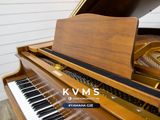  Grand Piano Yamaha G2E Walnut 