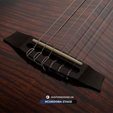  Đàn Guitar Cordoba Stage 